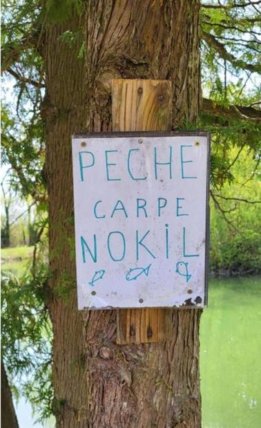 Campsite Mobil 5pers Proche Europa Park Dans 3etoiles